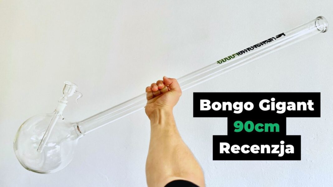 Recenzja bonga Gigant 90cm - Unikatowe Bonga