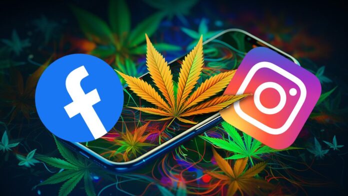 Facebook i Instagram zmieniają przepisy dotyczące reklamowania produktów z CBD