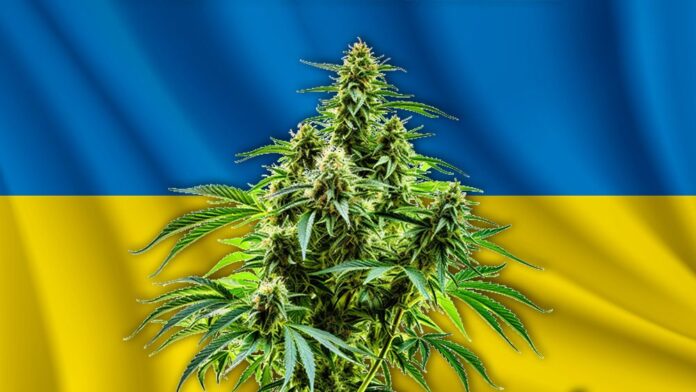 Ukraina legalizuje medyczną marihuanę