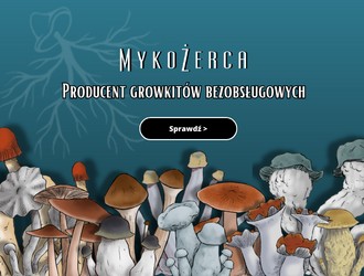 Mykożerca - producent bezobsługowych growkitów grzybów psylocybinowych