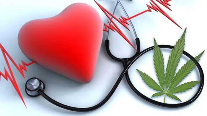 Jak używanie marihuany wpływa na ryzyko ataku serca? Zwiększa je, a może zmniejsza?