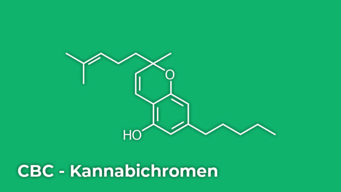 CBC - Kannabichromen, to kannabinoid występujący w konopiach