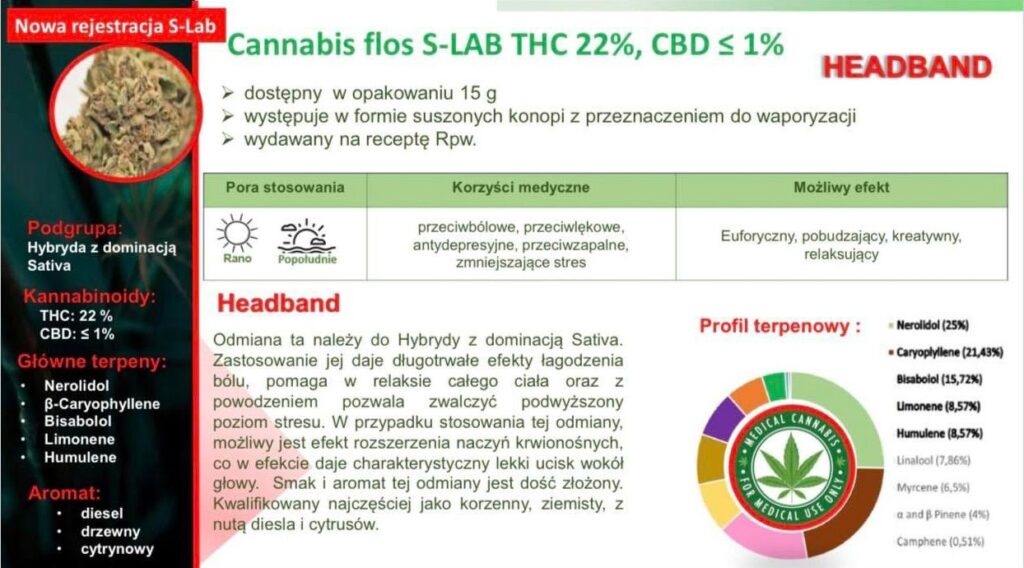 Headband - Cannabis flos S-LAB THC 22%, CBD