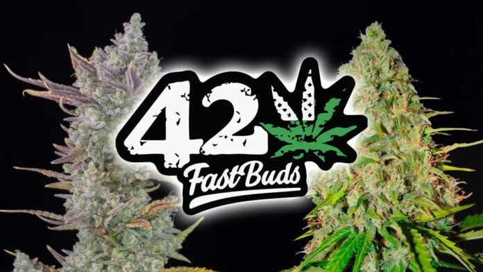 Fast Buds - producent nasion marihuany