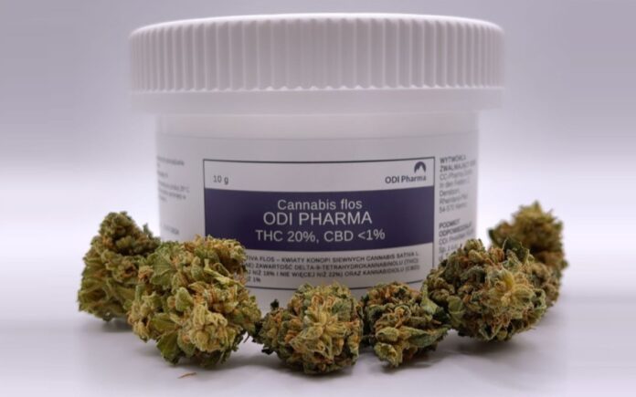 Odi Pharma Bienville (Jean Guy) - THC 20%, CBD < 1%