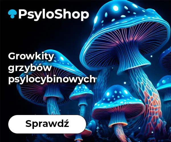 Psyloshop - sklep z growkitami grzybów psylocybinowych