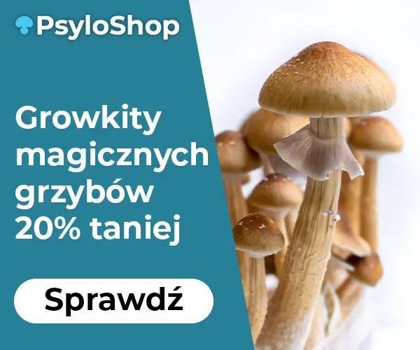PsyloShop - sklep z growkitami grzybów psylocybinowych