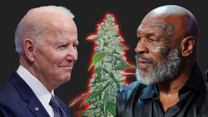 Obraz przedstawia Joe Bidena i Mike'a Tysona po obu stronach centralnie umieszczonej rośliny marihuany. Biden jest zwrócony w prawo, z uśmiechem, w klasycznym garniturze i krawacie, podczas gdy Tyson, z charakterystycznym tatuażem na twarzy, jest zwrócony w lewo i ma poważny wyraz twarzy. Tło za postaciami jest ciemne, co kontrastuje z jasną zielenią liści marihuany. Obraz symbolizuje wezwanie Tysona skierowane do Bidena o uwolnienie osób skazanych za przestępstwa związane z marihuaną.