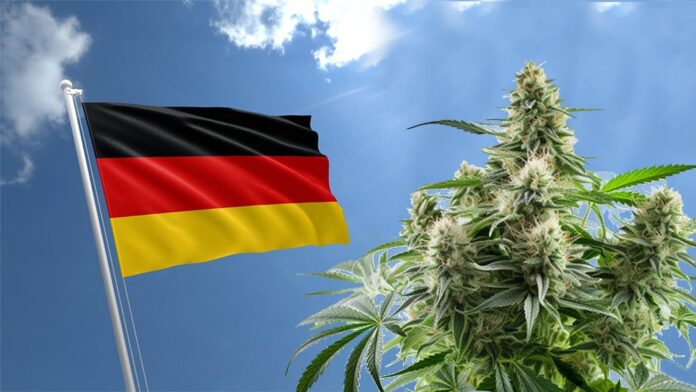 Flaga Niemiec na maszcie na tle niebieskiego nieba z chmurami, obok duża roślina konopi indyjskich z wyróżniającymi się kwiatostanami.