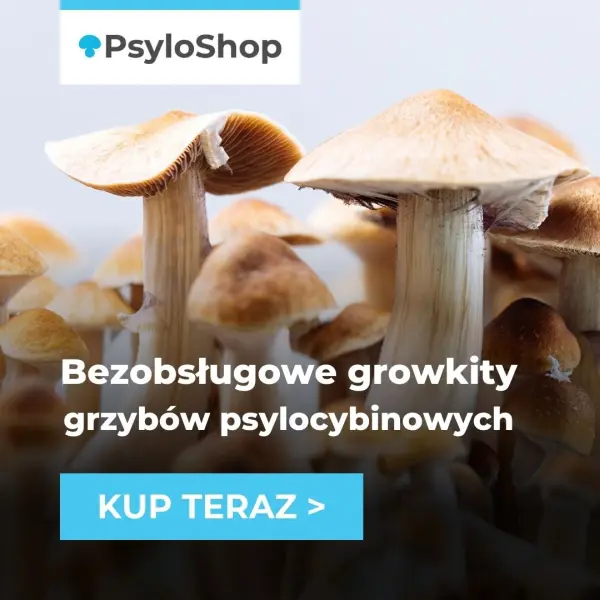 PsyloShop - sklep z growkitami grzybów psylocybinowych