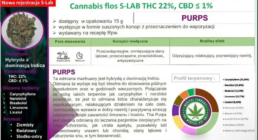 cannabis flos s lab purps thc 22 cbd1