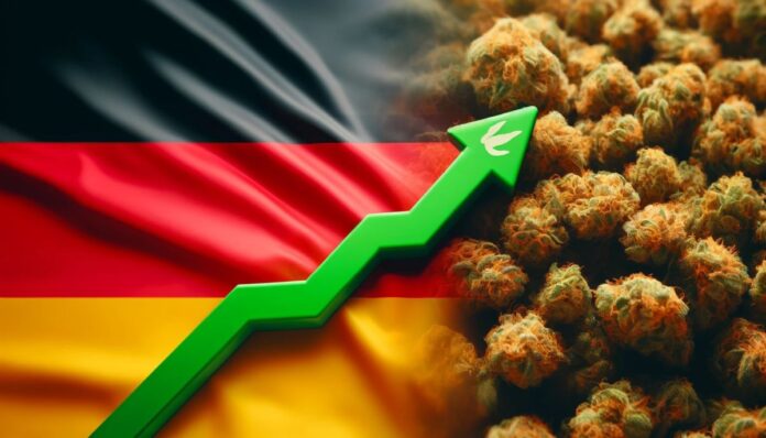 Flaga Niemiec i suszone kwiaty medycznej marihuany z zielonym wykresem wzrostowym na środku, ilustrujące wzrost liczby pacjentów korzystających z medycznej marihuany w Niemczech