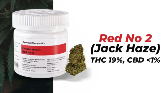 Opakowanie medycznej marihuany Red No 2 (Jack Haze) od Spectrum Therapeutics, zawierającej 19% THC i poniżej 1% CBD, dostępne w polskich aptekach