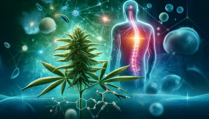 Ilustracja podkreślająca użycie terpenów z marihuany do łagodzenia bólu, przedstawiająca stylizowaną roślinę marihuany, widoczne cząsteczki terpenów oraz elementy tła reprezentujące komórki nerwowe i ulgę w bólu, z uspokajającą kolorystyką w zieleni i błękicie